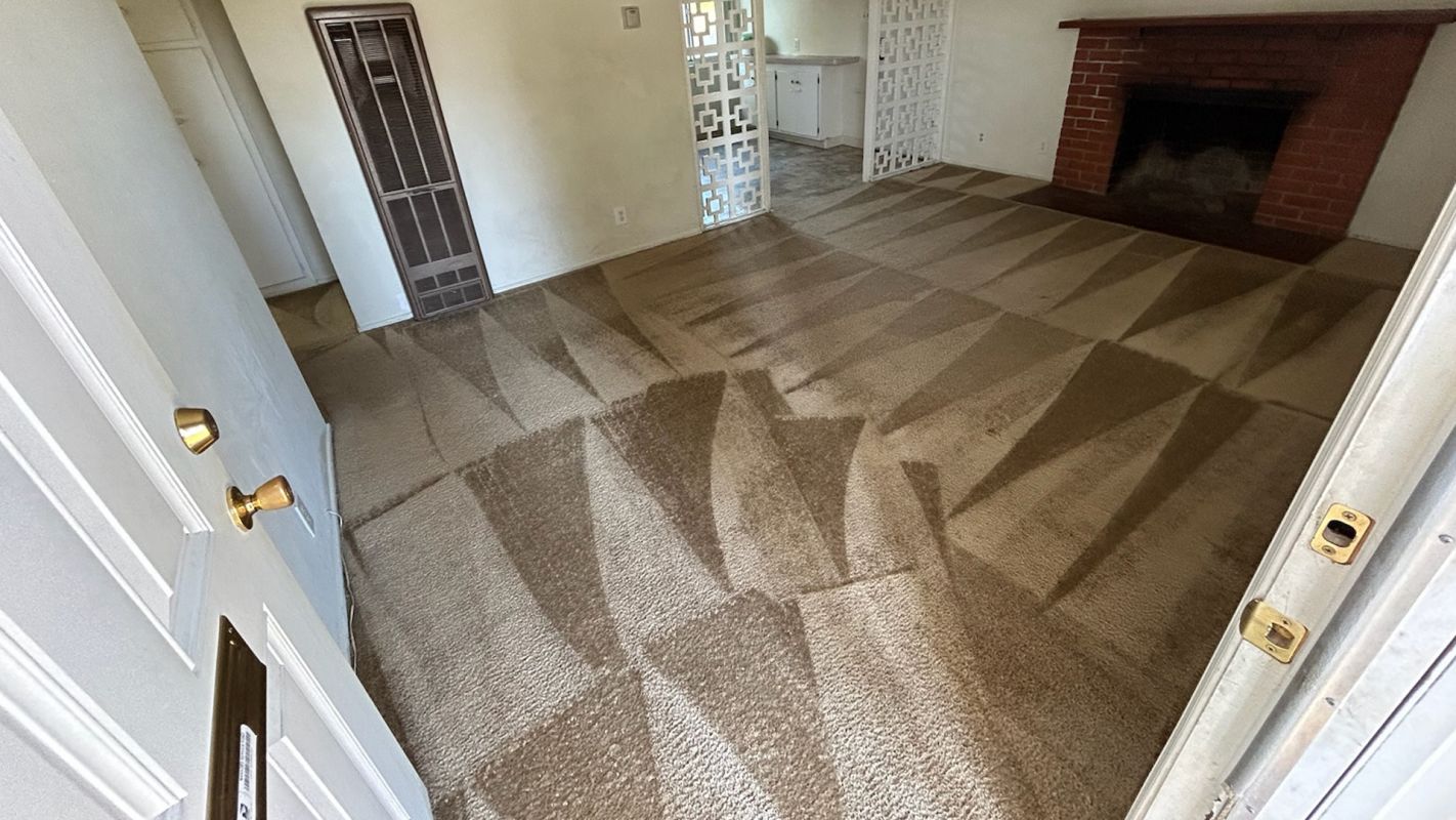 Professional Carpet Cleaning Services in Roseville, CA