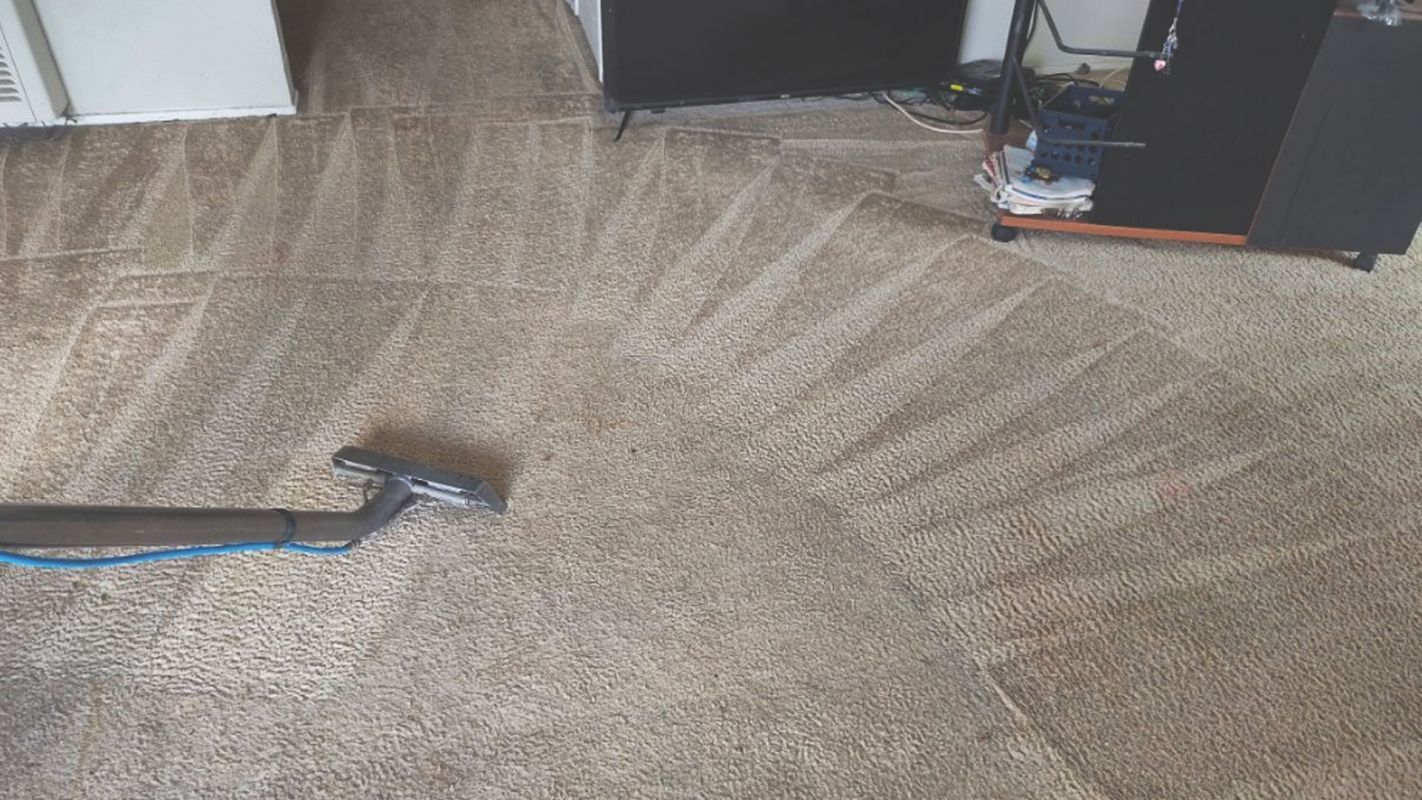 Contact Us for Residential Carpet Cleaning Carmichael, CA