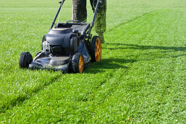 Looking for Affordable Lawn Mowing? Hire Us! Englewood, OH