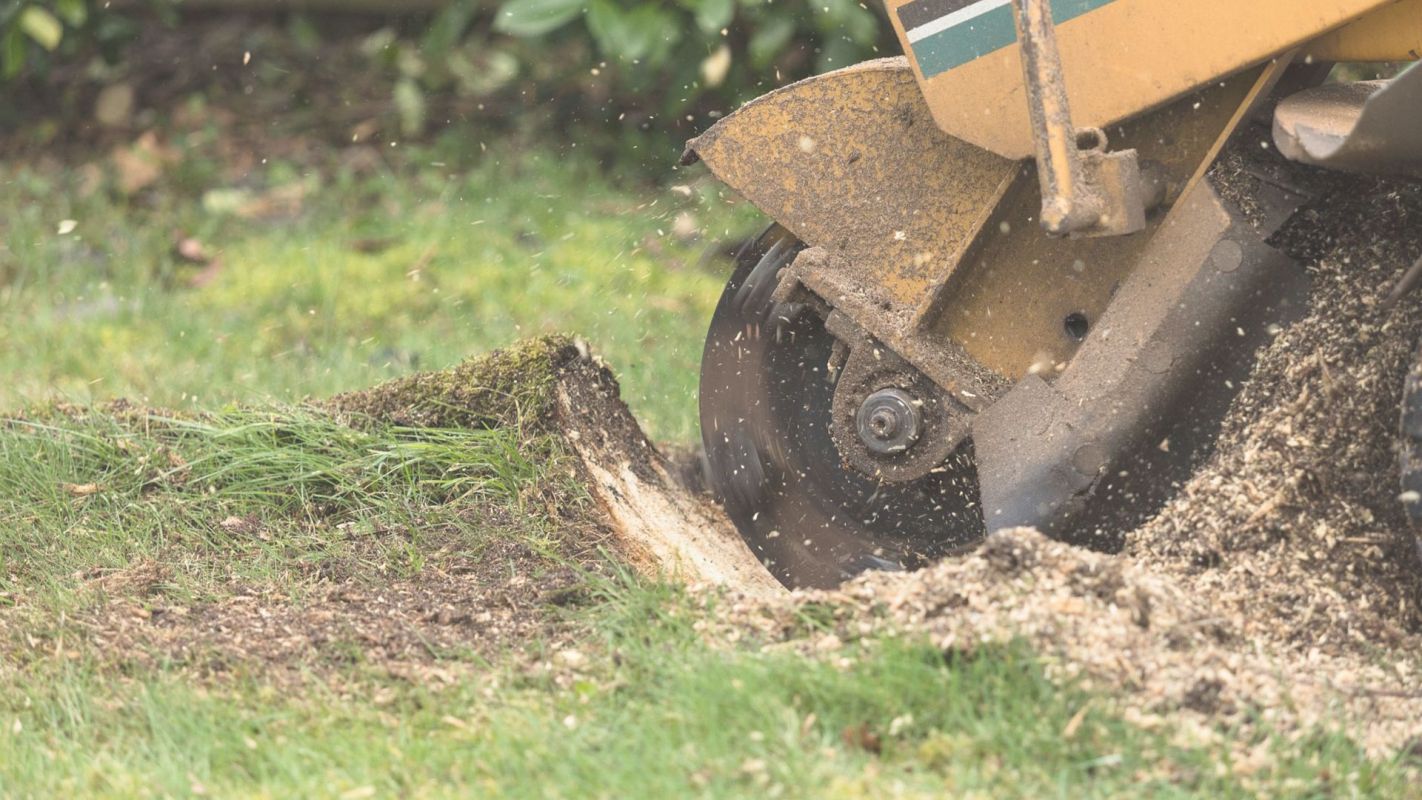 The Best Stump Grinding Company Altamonte Springs, FL