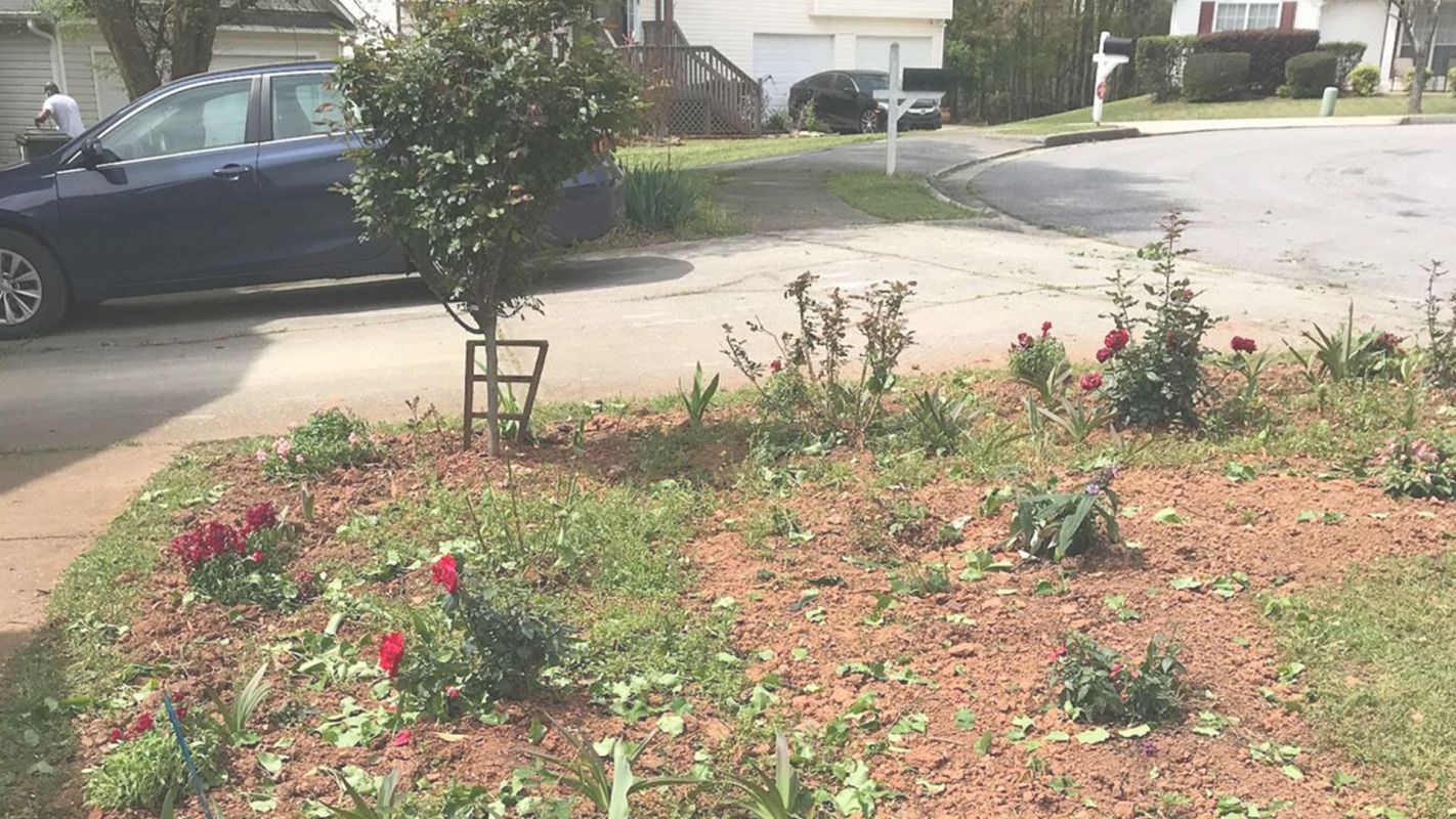 Nearby Land Cleaning Services-Improving Your Lawn's Appearance Stone Mountain, GA