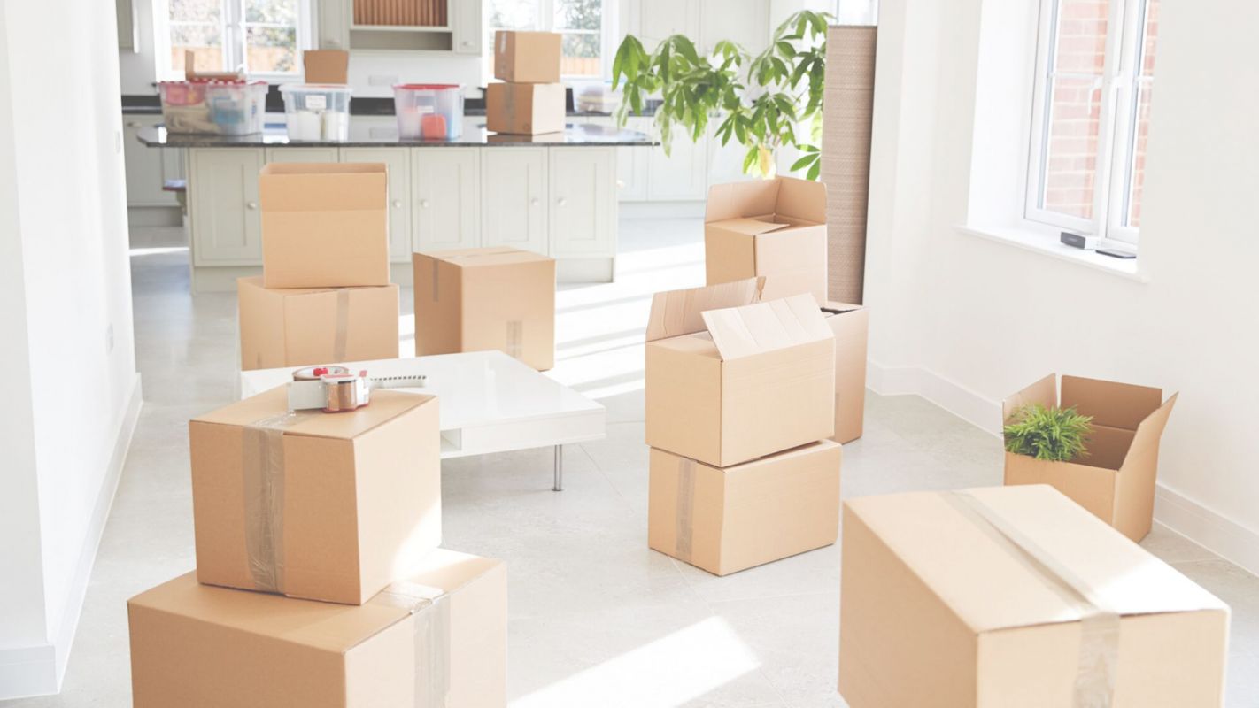 Packing and Unpacking Services-Reducing the Moving Upheaval Brooklyn Park, MN