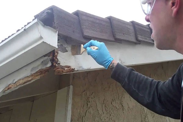 Dry Rot Treatment Services
