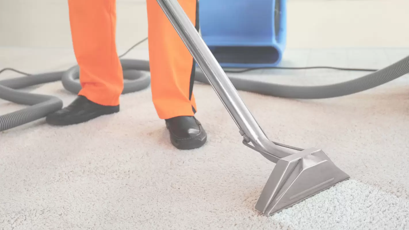Get a Spotless Carpet with Our Professional Carpet Cleaning Lakewood, OH