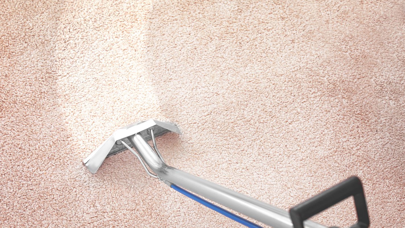 The Best Carpet Cleaner You Can Count on in Lyndhurst, OH