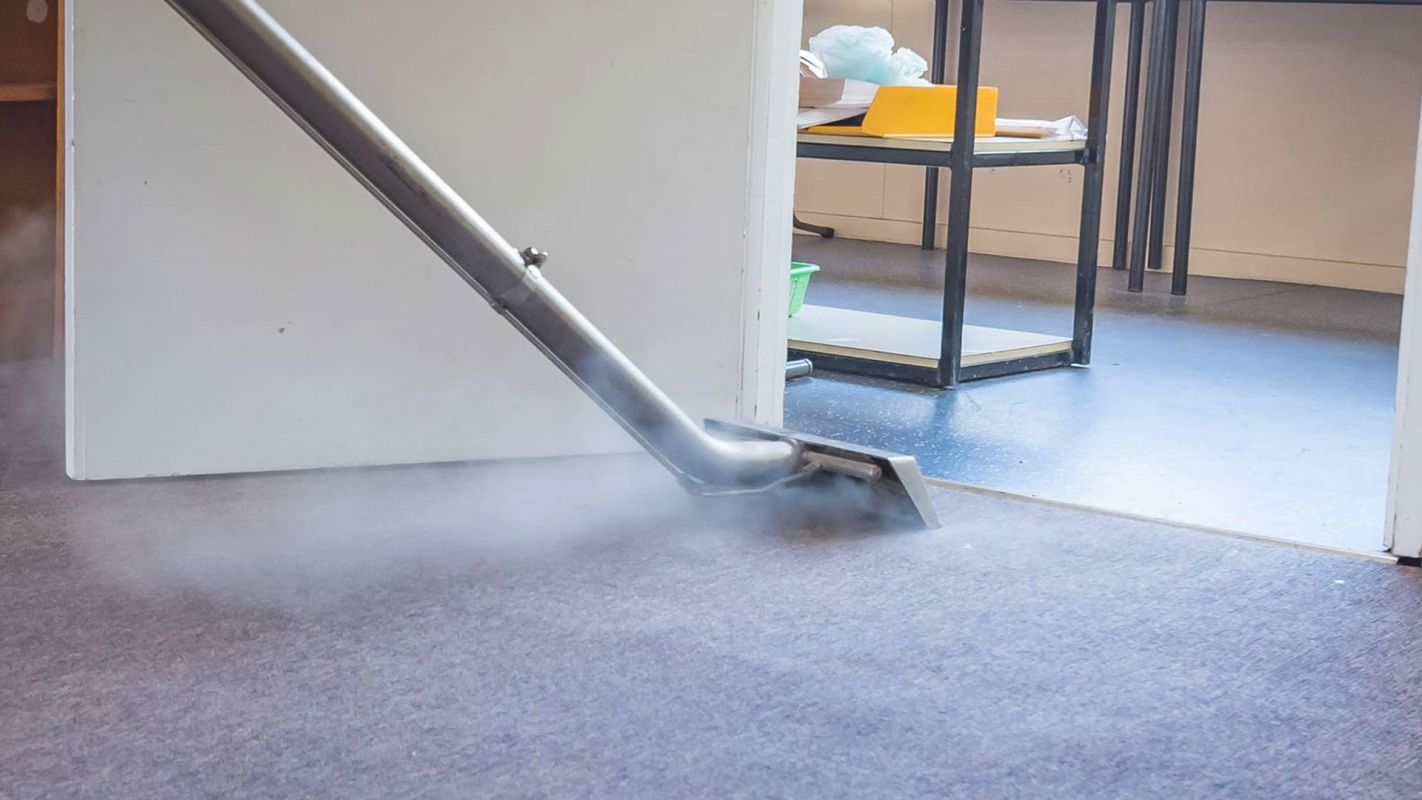 Steam Carpet Cleaning in Lyndhurst, OH