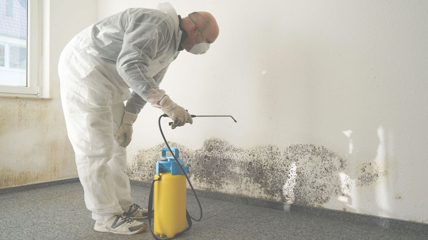 Residential Mold Removal Company will Eat Away the Mold Downey, CA