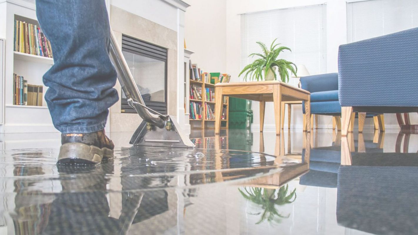 Offering Water Damage Removal Cost That Won’t Break the Bank Los Angeles, CA