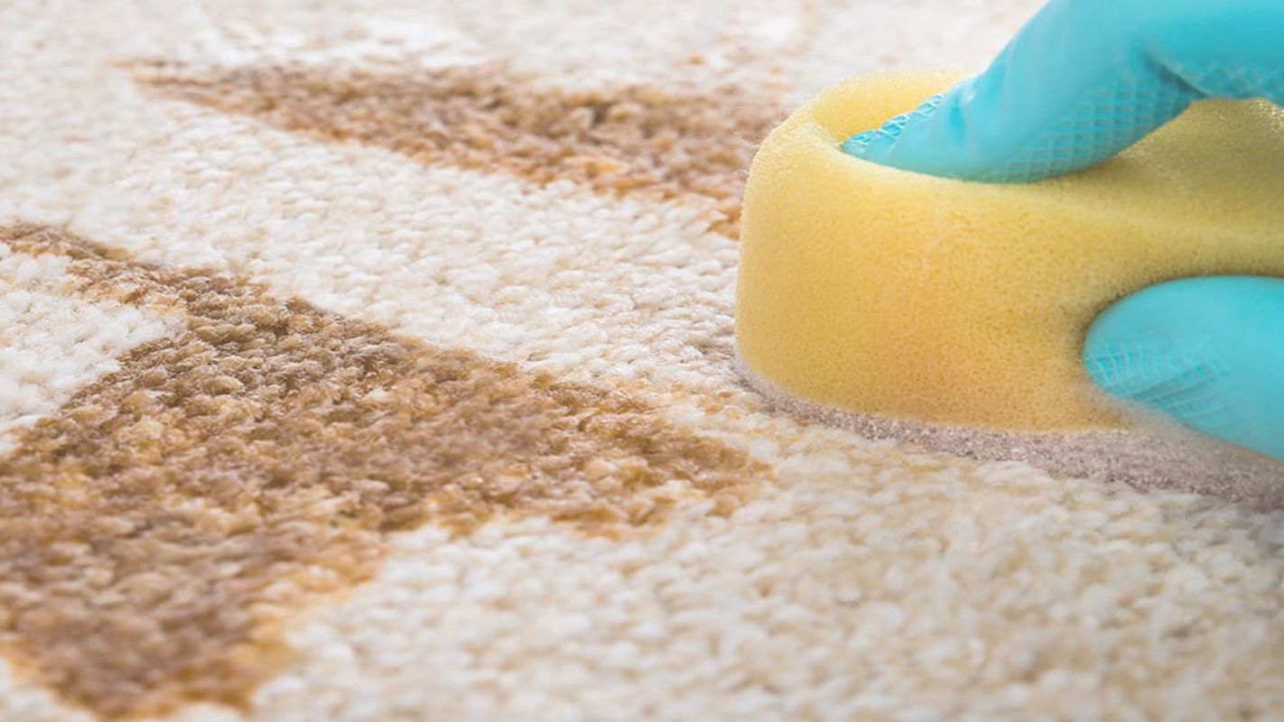 Impeccable Carpet Stain Removal Services Derby, KS