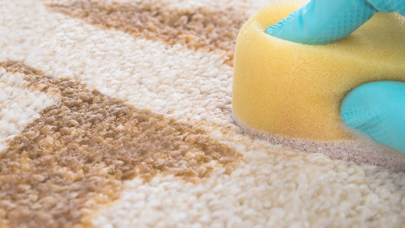 Carpet Stain Removal – Make Your Home Refreshing! Wichita, KS