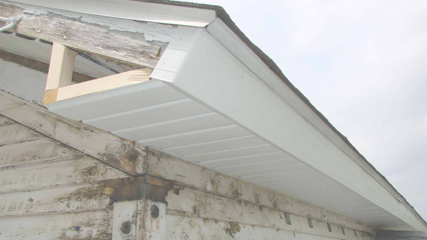 Low-Cost Fascia and Soffit Repair Service for You Pueblo, CO