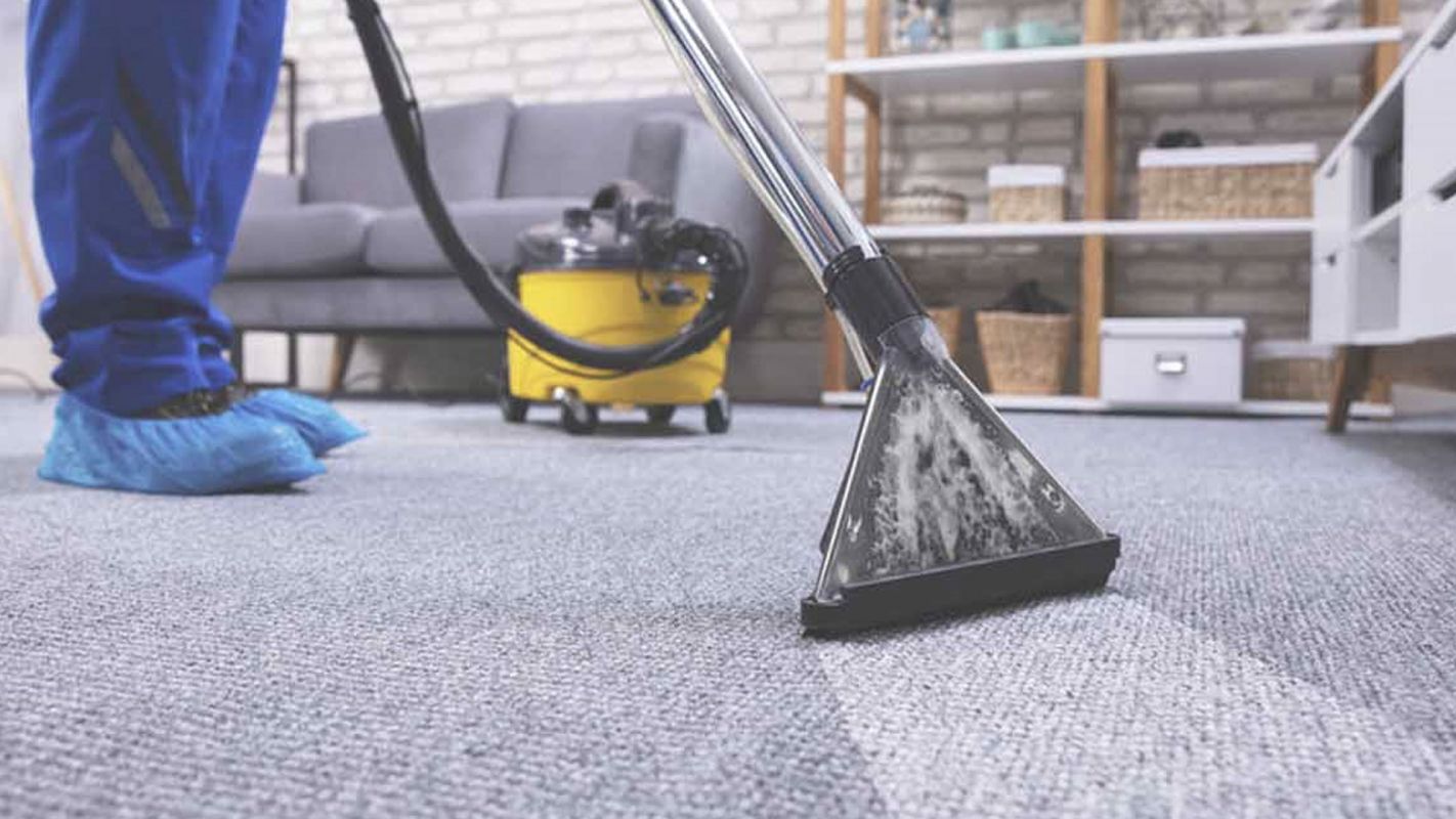 Halt Your Search for “Carpet Cleaning Near Me”! Draper, UT!