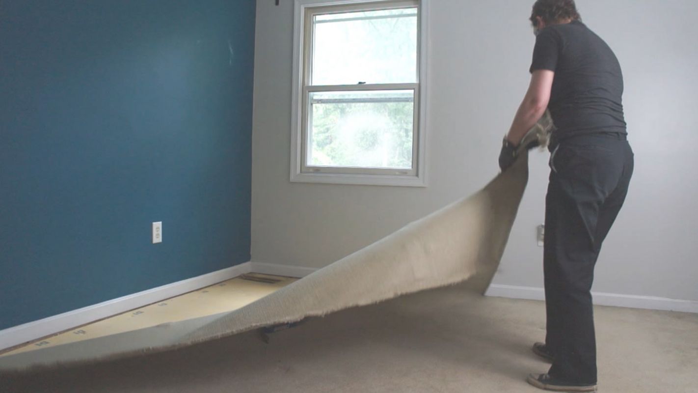 Carpet Removal Service - We Know Where to Dump Your Old Carpet Orlando, FL