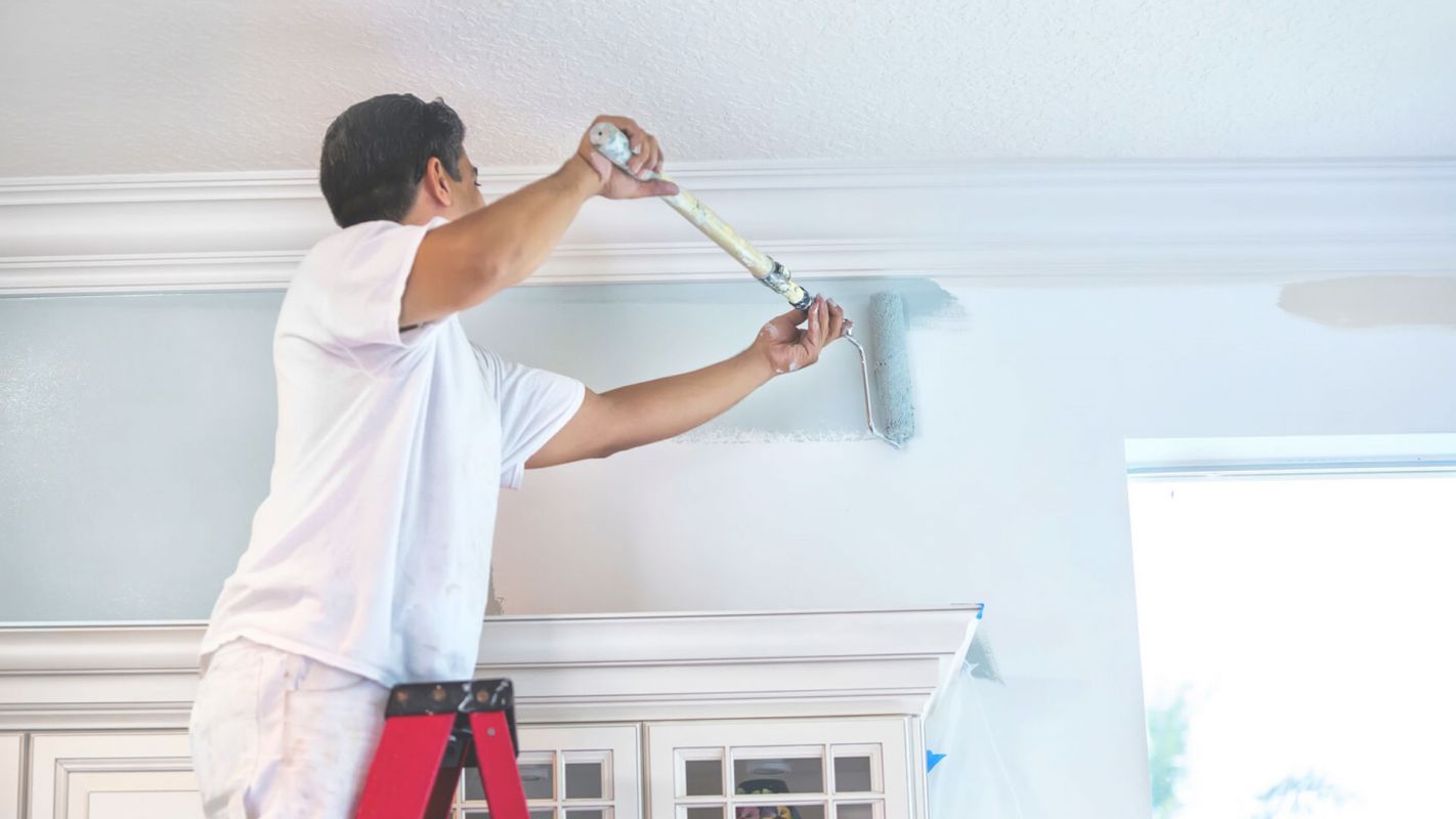 Want Professional Painting Contractors? Santa Rosa, CA