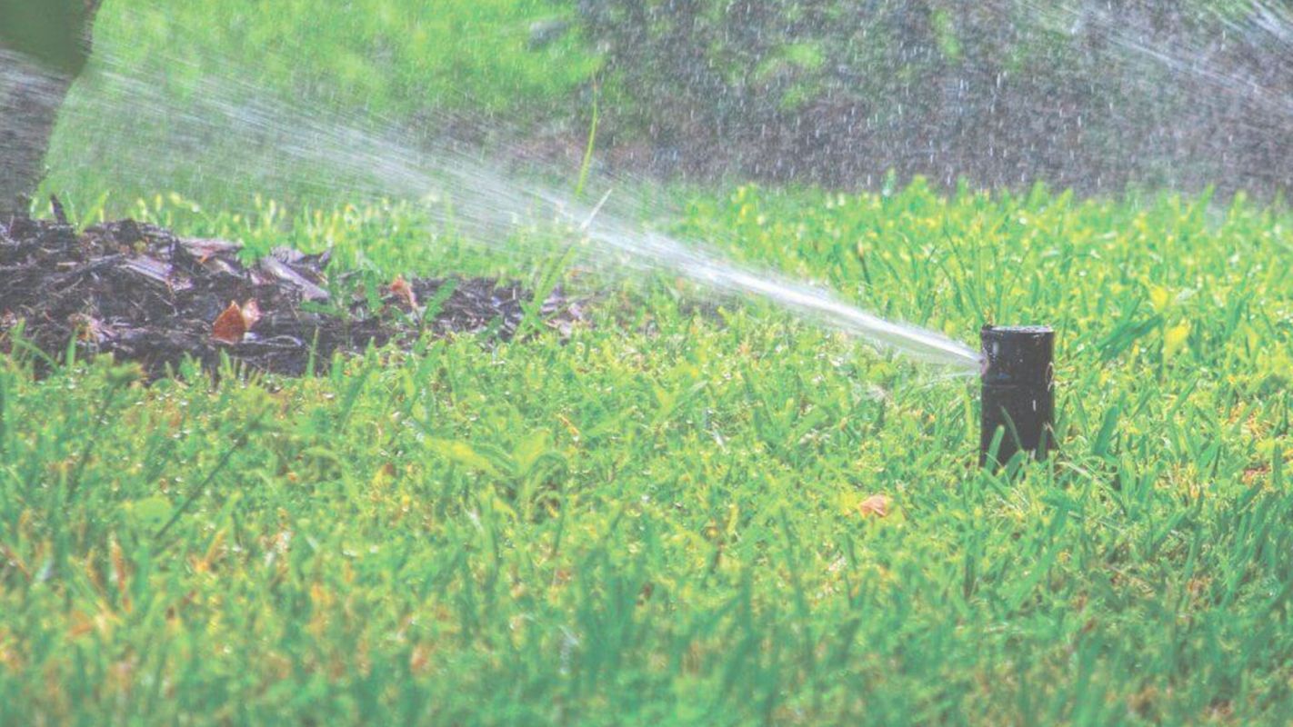 Best New Irrigation Company Focusing on Conserving Resources Anthem, AZ