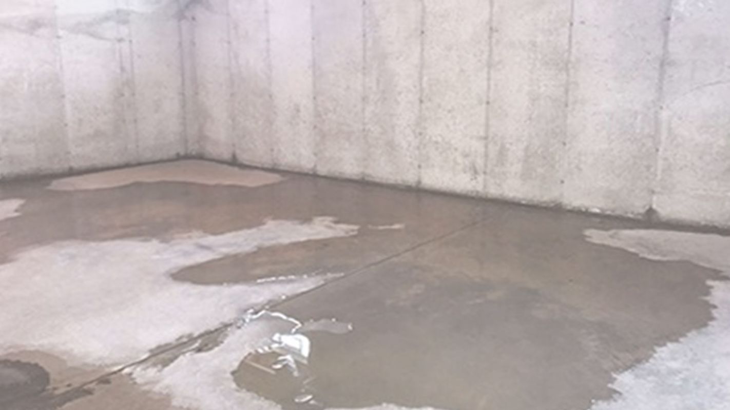 We Provide the Finest Basement Waterproofing Services! La Grange, KY