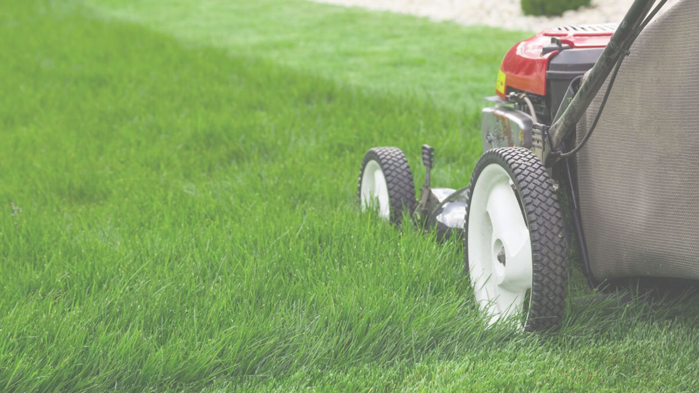 The Struggle for Residential Lawn Care Near Me Has Come to End!