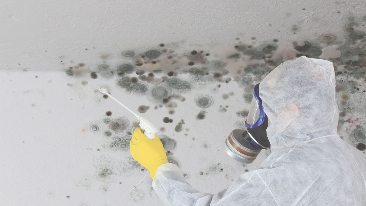 Destin, FL’s Home of Mold Remediation Specialists
