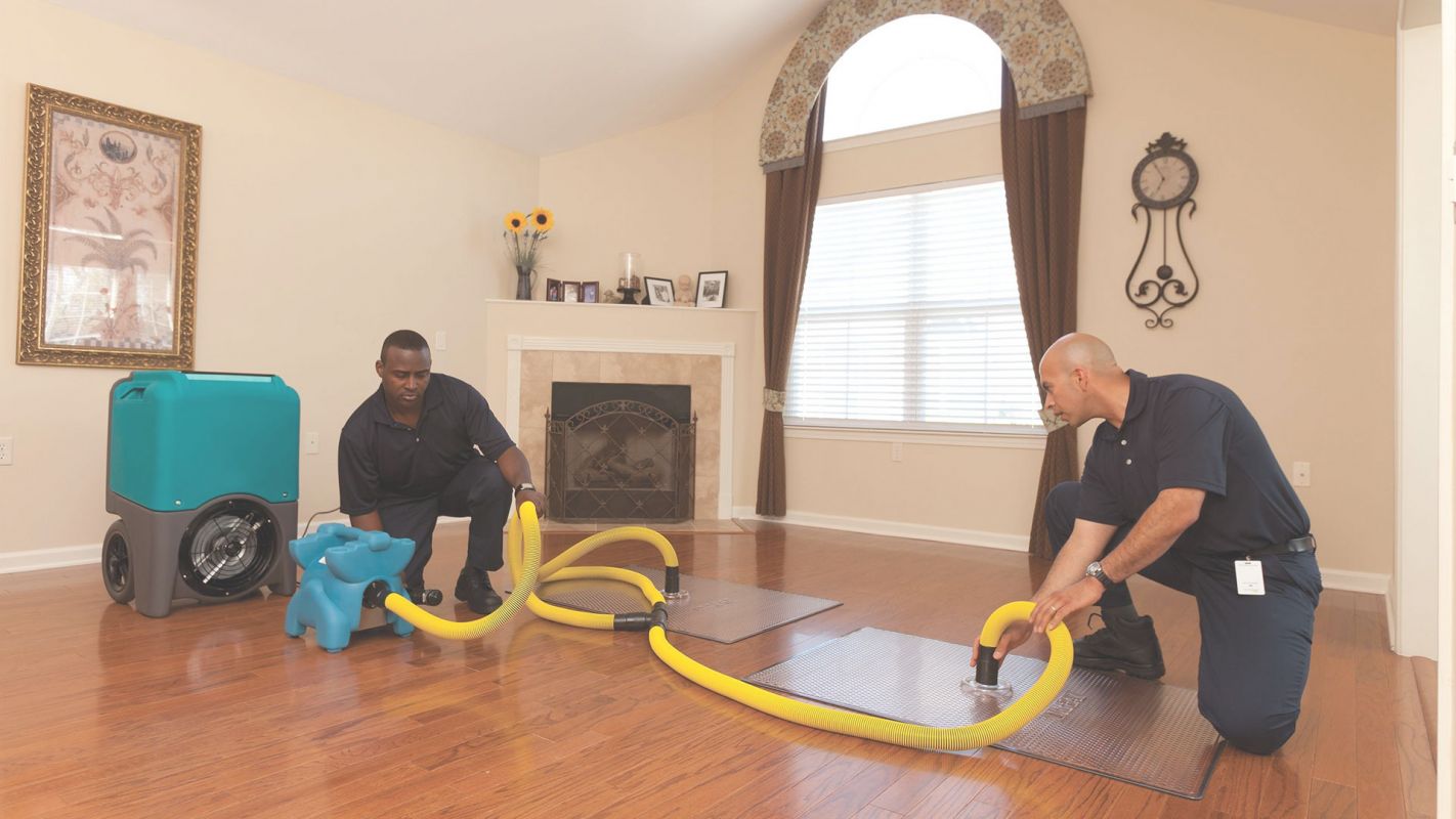 Water Damage Restoration Company is 24/7 at Your Service! The Bronx, NY