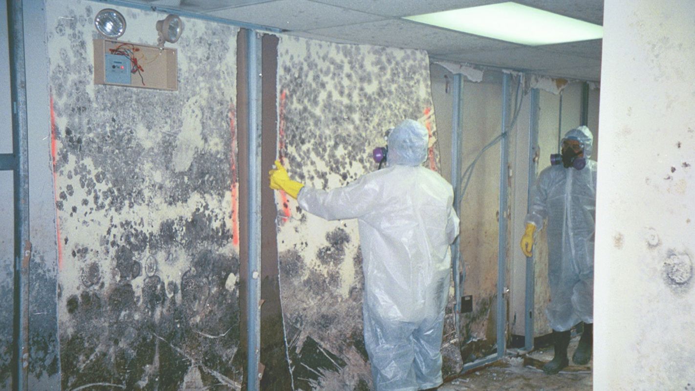 Commercial Mold Inspection will Protect Your Place from Mold Attack Pearland, TX