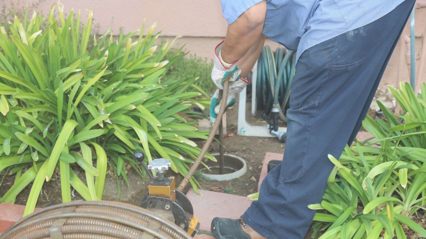 Stuck With Drainage Issues? Our Licensed Plumbers Will Unclog Drains! Petaluma, CA