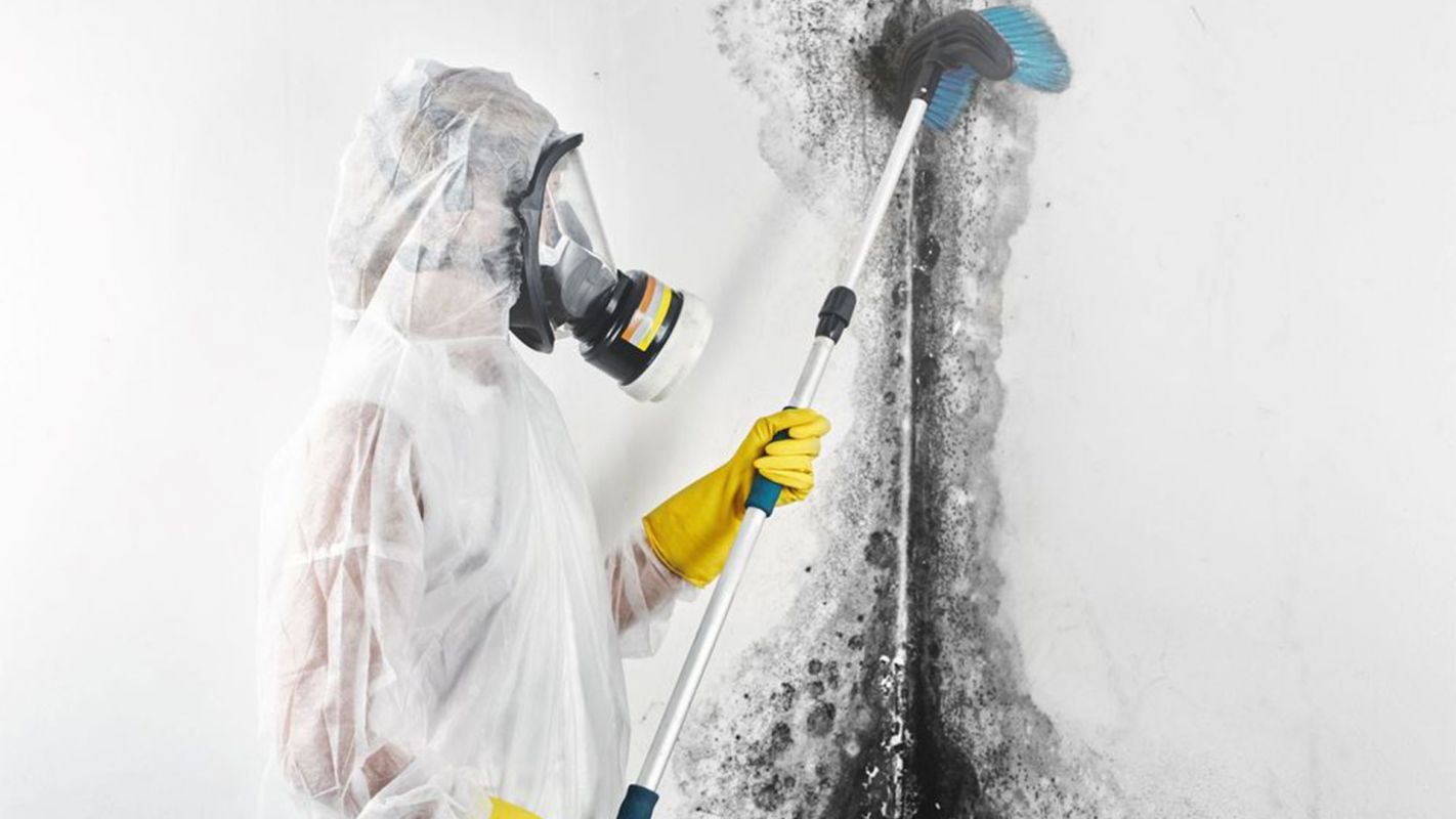 Serving You with the Best Mold Remediation Services! Conroe, TX