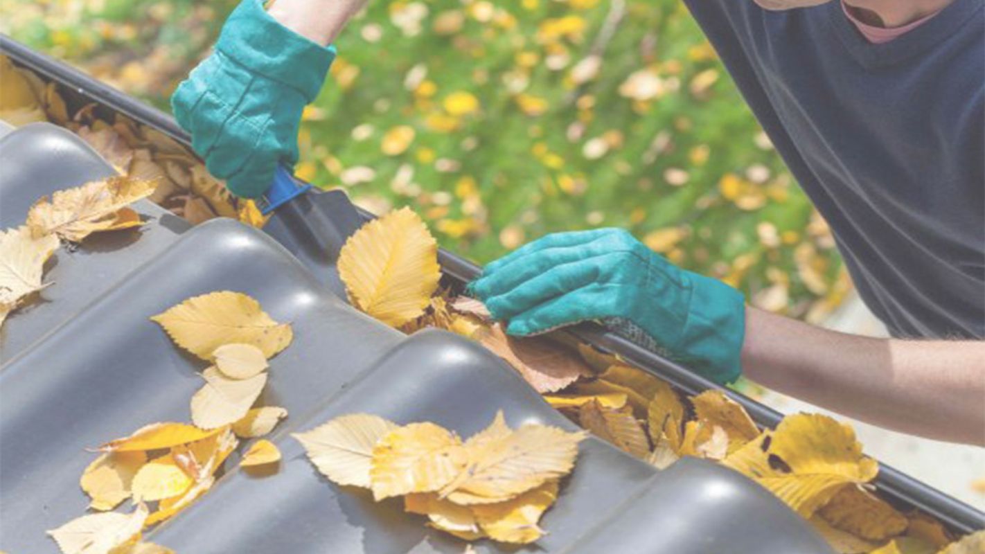 Gutter Cleaning Services – A Principal Name in the Business! Plano, TX