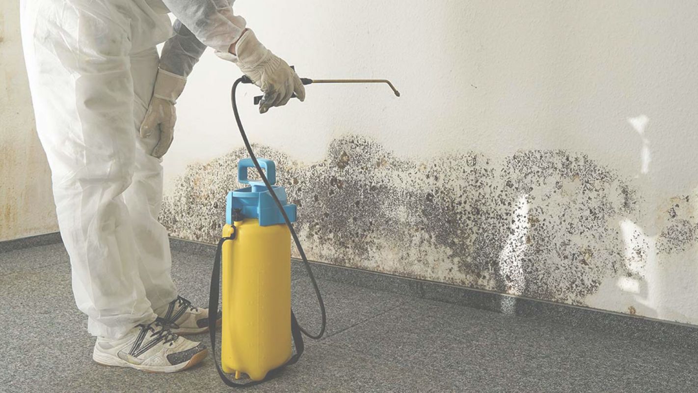 A Capable Mold Remediation Company Expects Your Call!