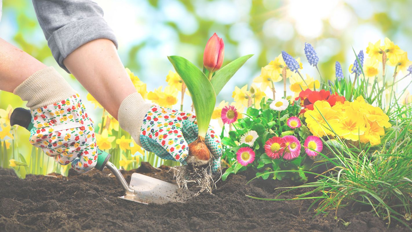 Planting Services in Fairfax, VA are at Your Disposal!