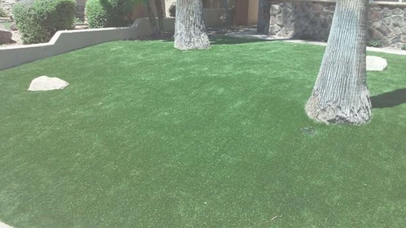 No More Mowing Guys, When Synthetic Lawn Grass Is Available!