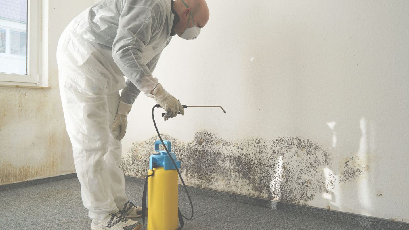 Commercial Mold Remediation – Don’t Let Mold Take Over Your Space! Mansfield, MA