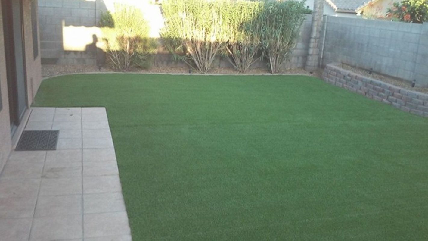 Artificial Turf – Low-Maintenance Solutions