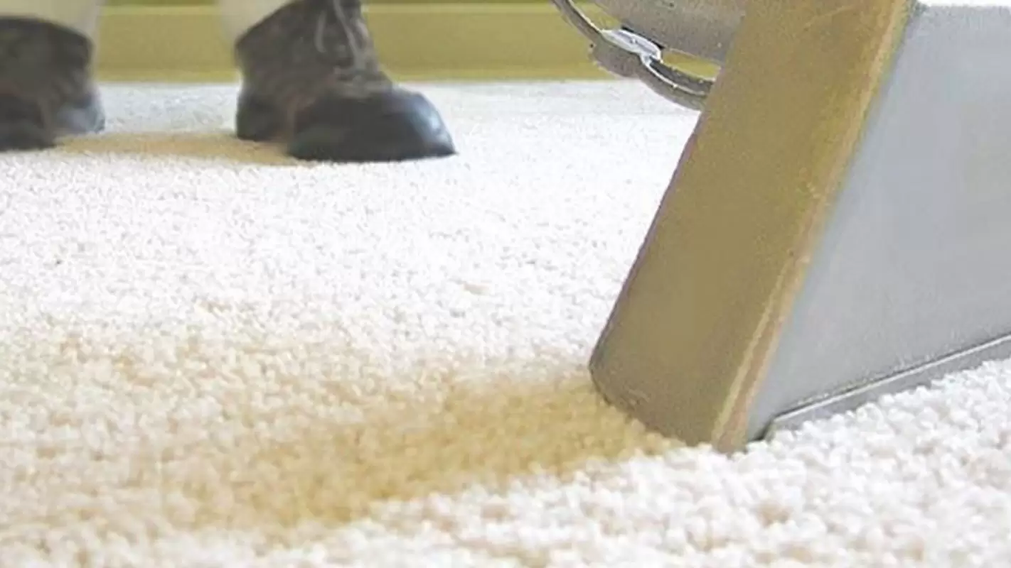 A Confident Clean from Our Commercial Carpet Cleaning Services