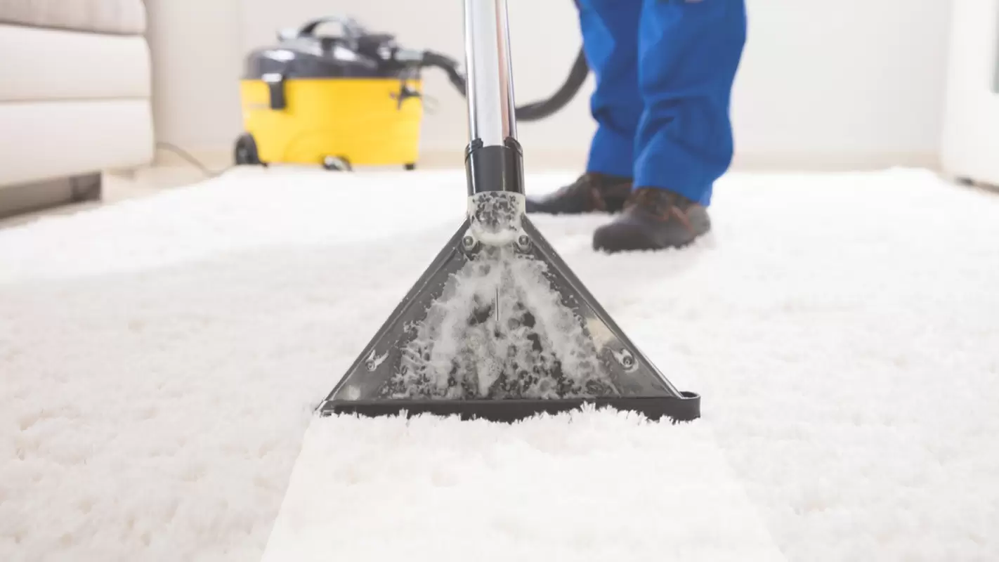 Our Carpet Cleaners will Let You Enjoy Free Time at No Cost! Milpitas, CA
