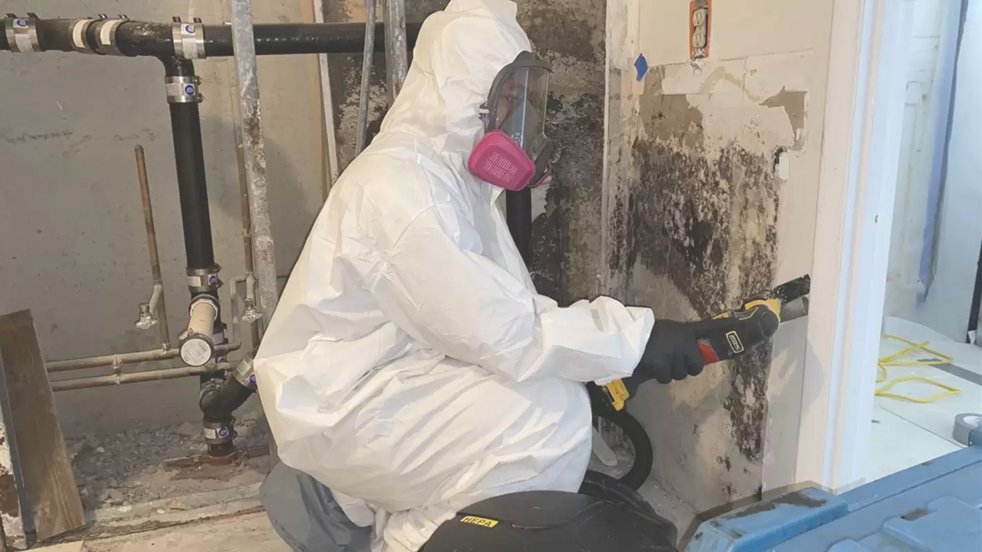 Commercial Mold Removal Services for a Healthy Workplace! Conroe, TX