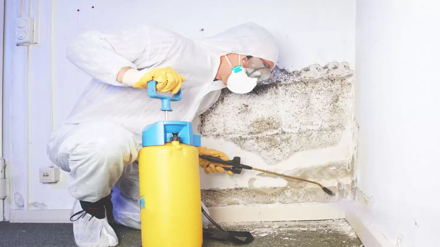 Expert Mold Removal Services – Get Now! Katy, TX