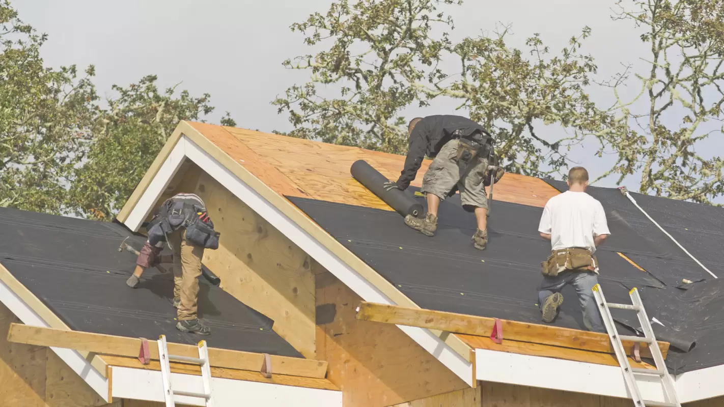 Your Search Result for Reasonable “Roof Replacement Estimate”! Metairie, LA