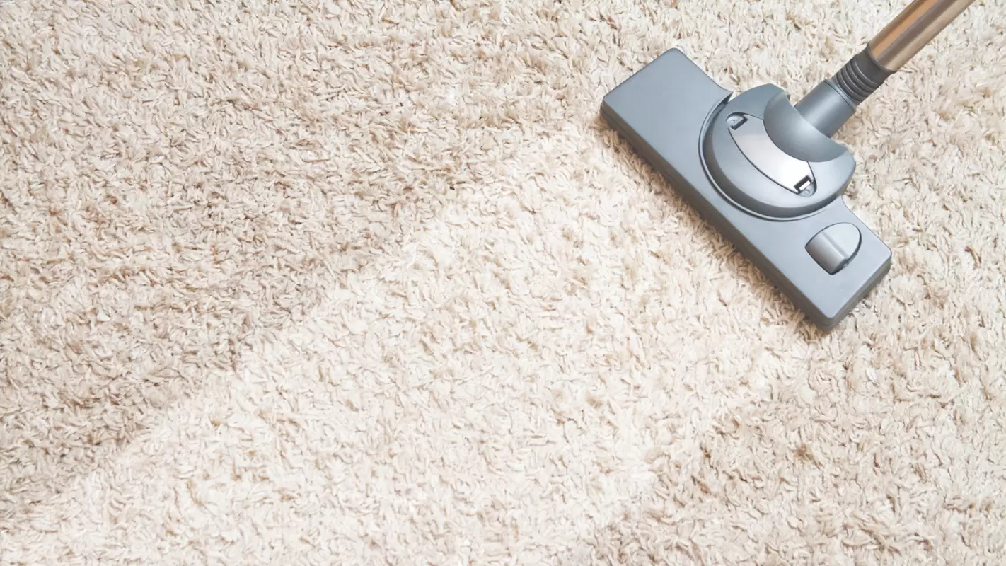 Our Carpet Cleaners Don’t Just Clean but Rejuvenate the Dirty Carpets! Novi, MI