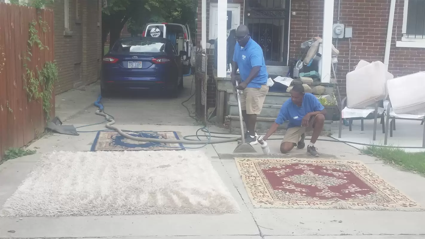 Our Carpet Cleaning Services Give Your Carpets the Royal Treatment! Royal Oak, MI