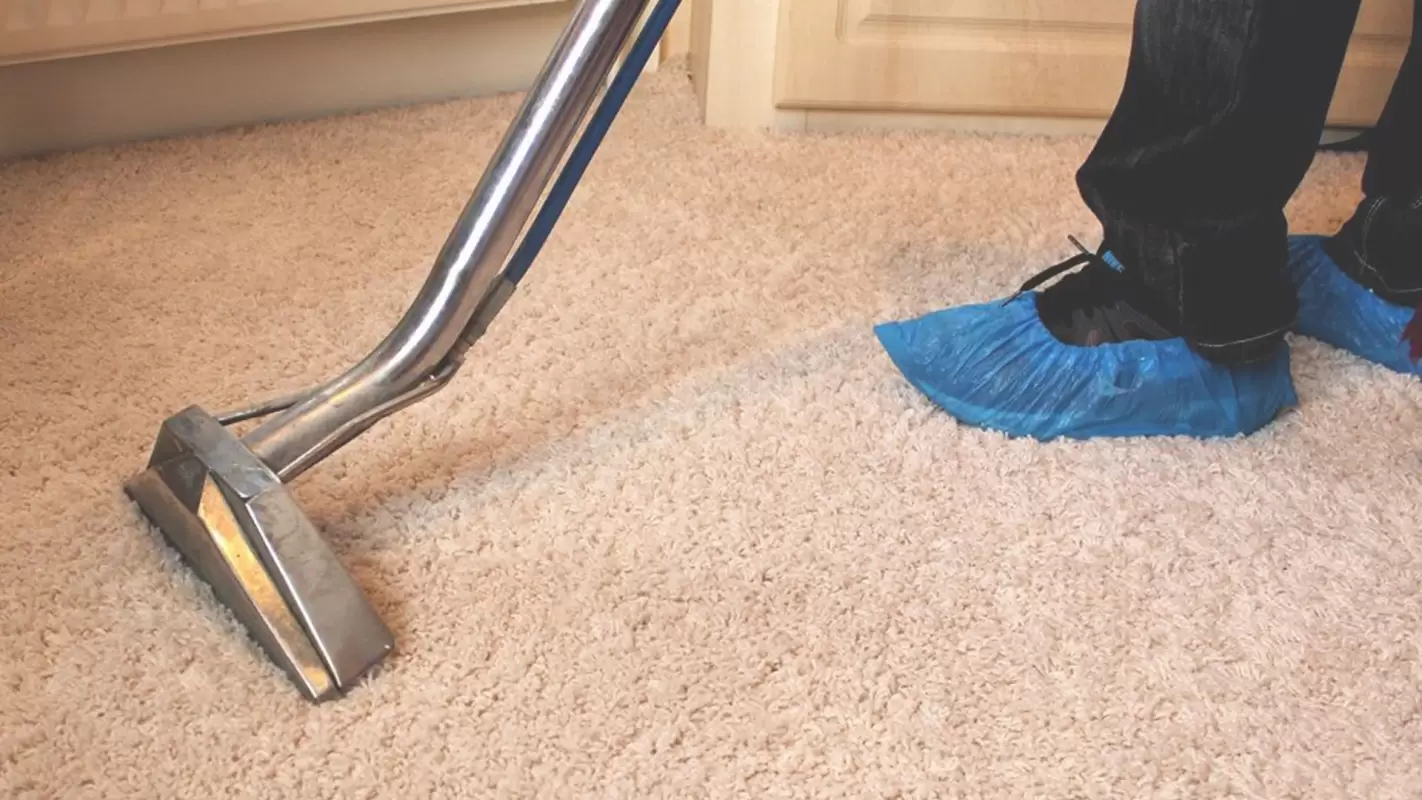 Hire the Best Carpet Cleaning Company Near You Santee, CA