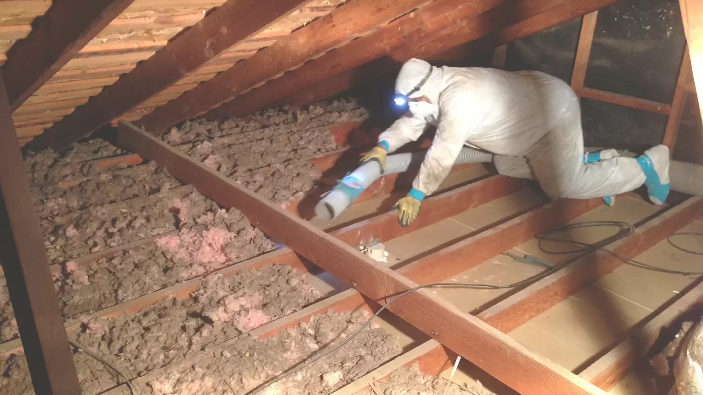 Insulation Removal – Get Rid of the Mold Infested Insulation! Conroe, TX