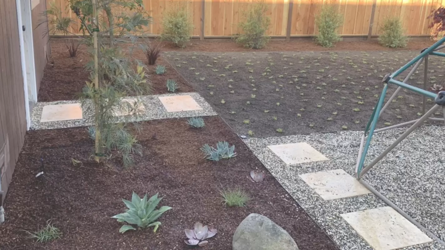 Expert Landscaping to Bring Your Outdoor Vision into Life! Pacifica, CA