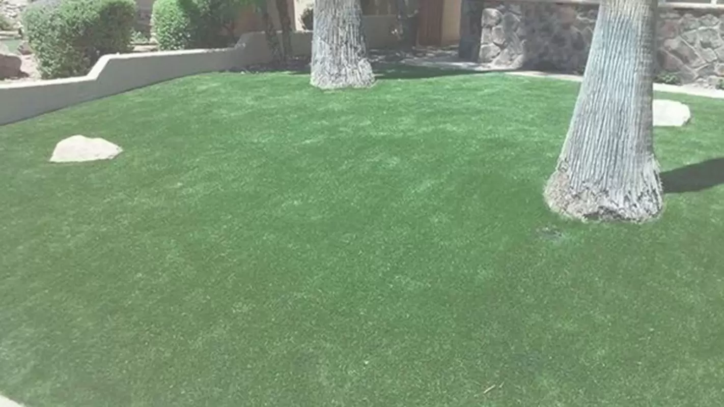 We’re your Best Bet for Synthetic Grass Selling Company