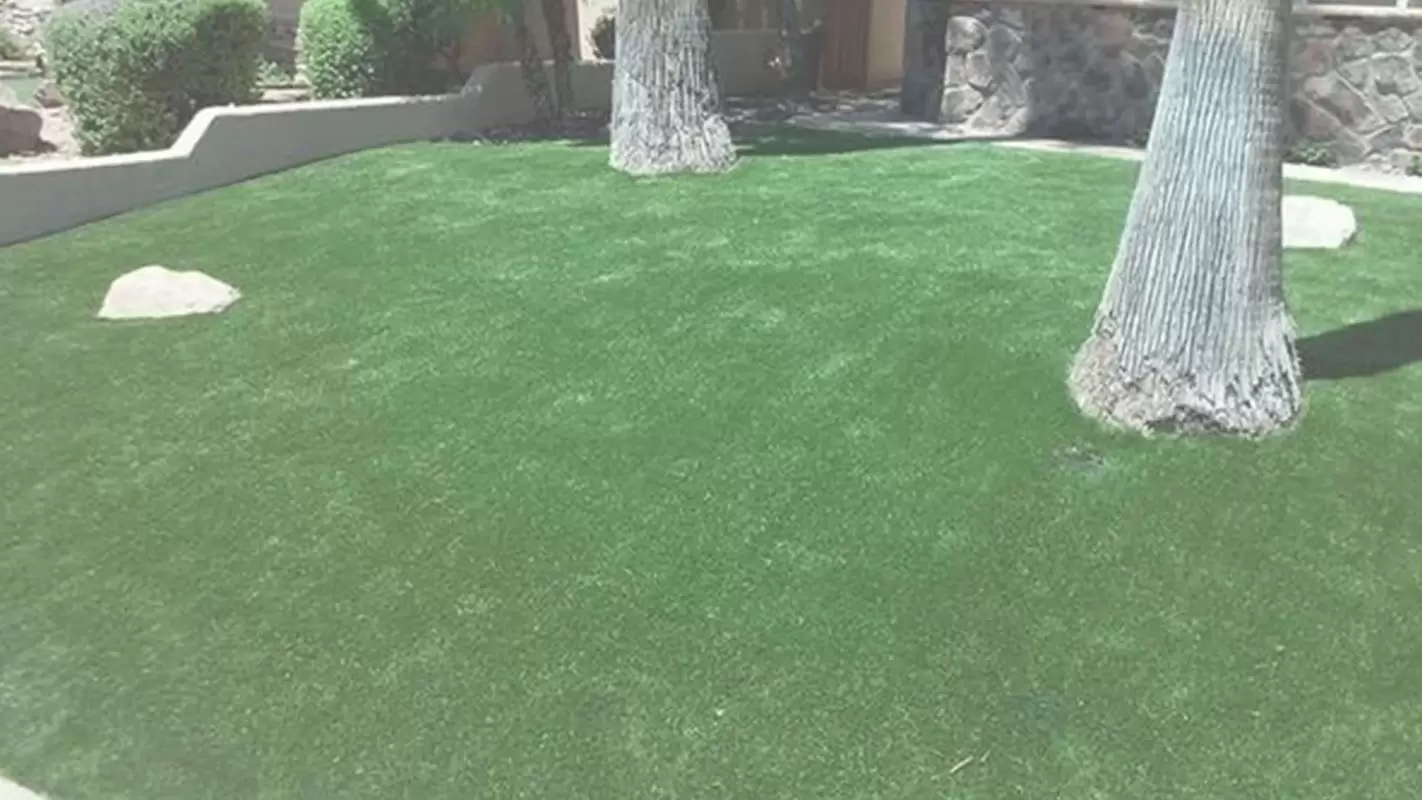 Best Synthetic Grass Selling Company – Luxury for Your Outdoor Oasis