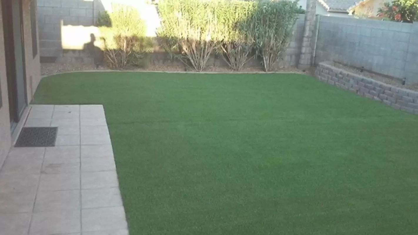 Affordable Synthetic Grass Store – Upgrade Your Yard Without Spending a Fortune