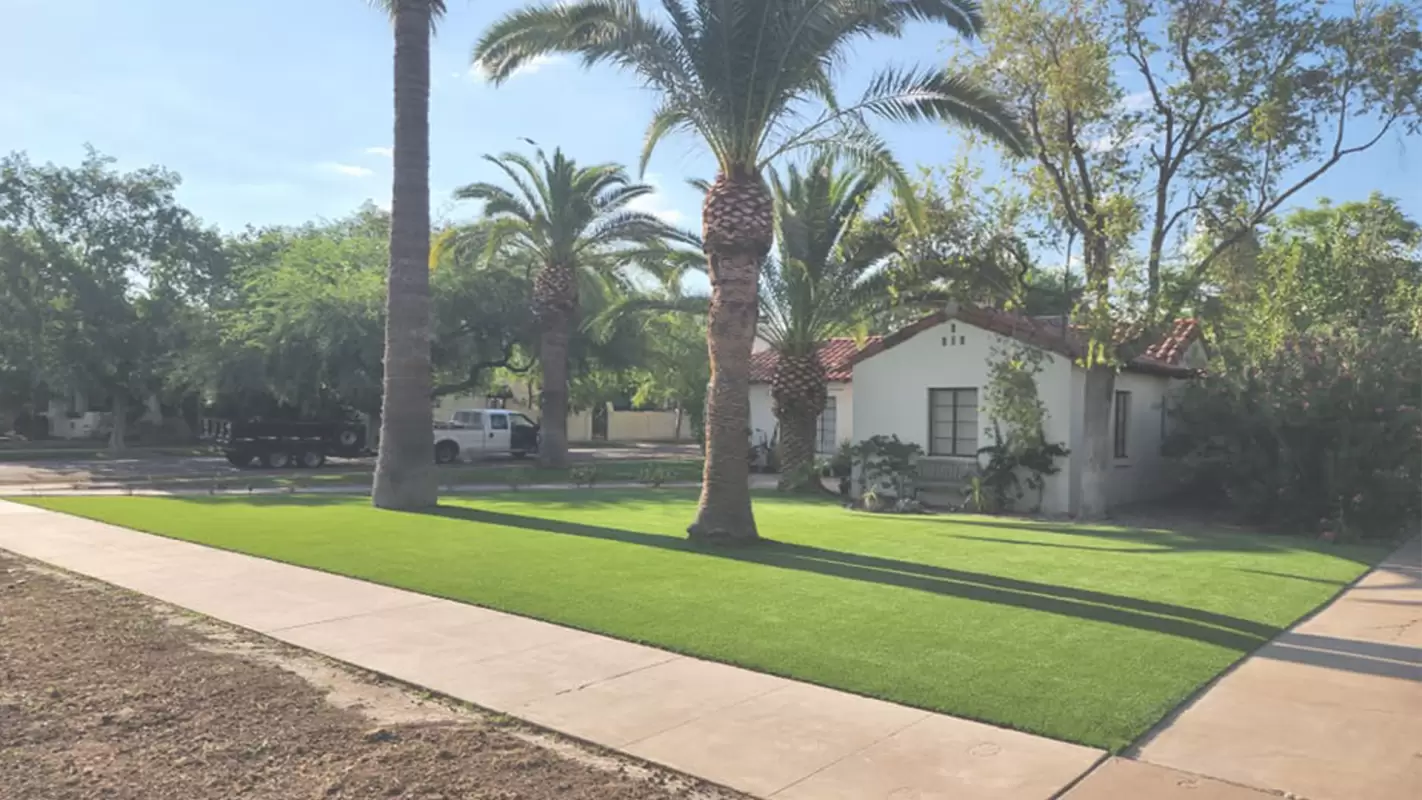 Best Synthetic Grass for Sale Right Now