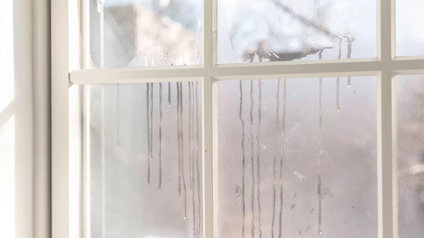 We Offer Trustworthy Foggy Window Glass Replacement Great Falls, VA