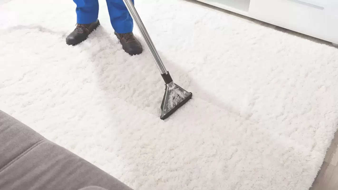 Get the Cleanest Carpets with the Best Carpet Cleaning Company in Decatur, GA!