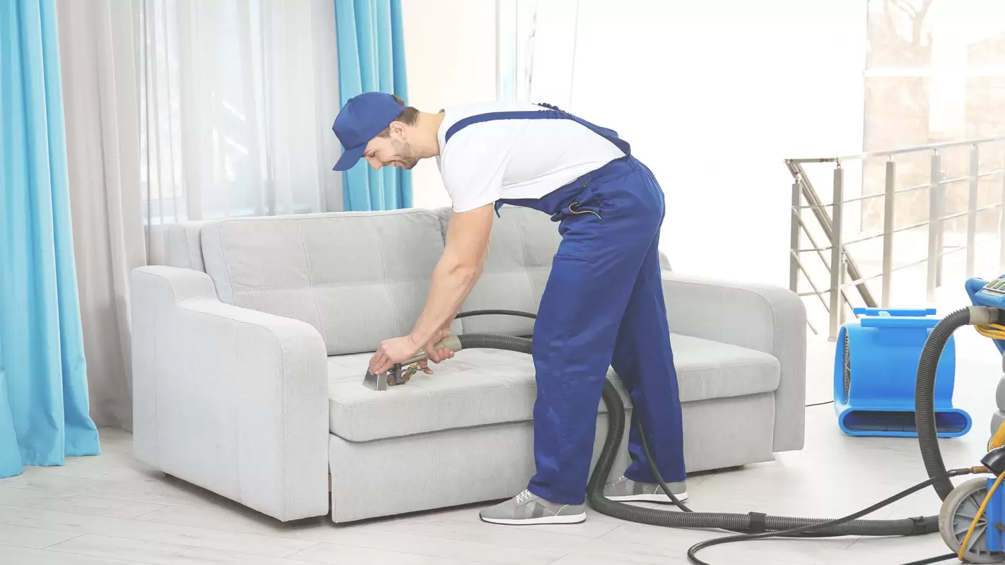 Let Our Professional Upholstery Cleaners Share Your Bit Washington, DC