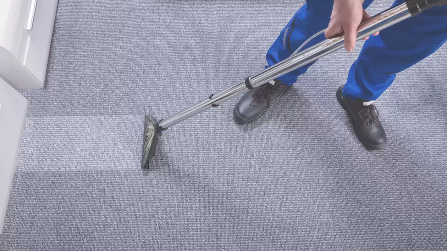 Our Company Offers Professional Carpet Cleaning Services Livonia, MI